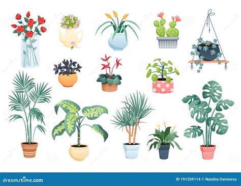 28,526+ Free House Plants Illustrations .